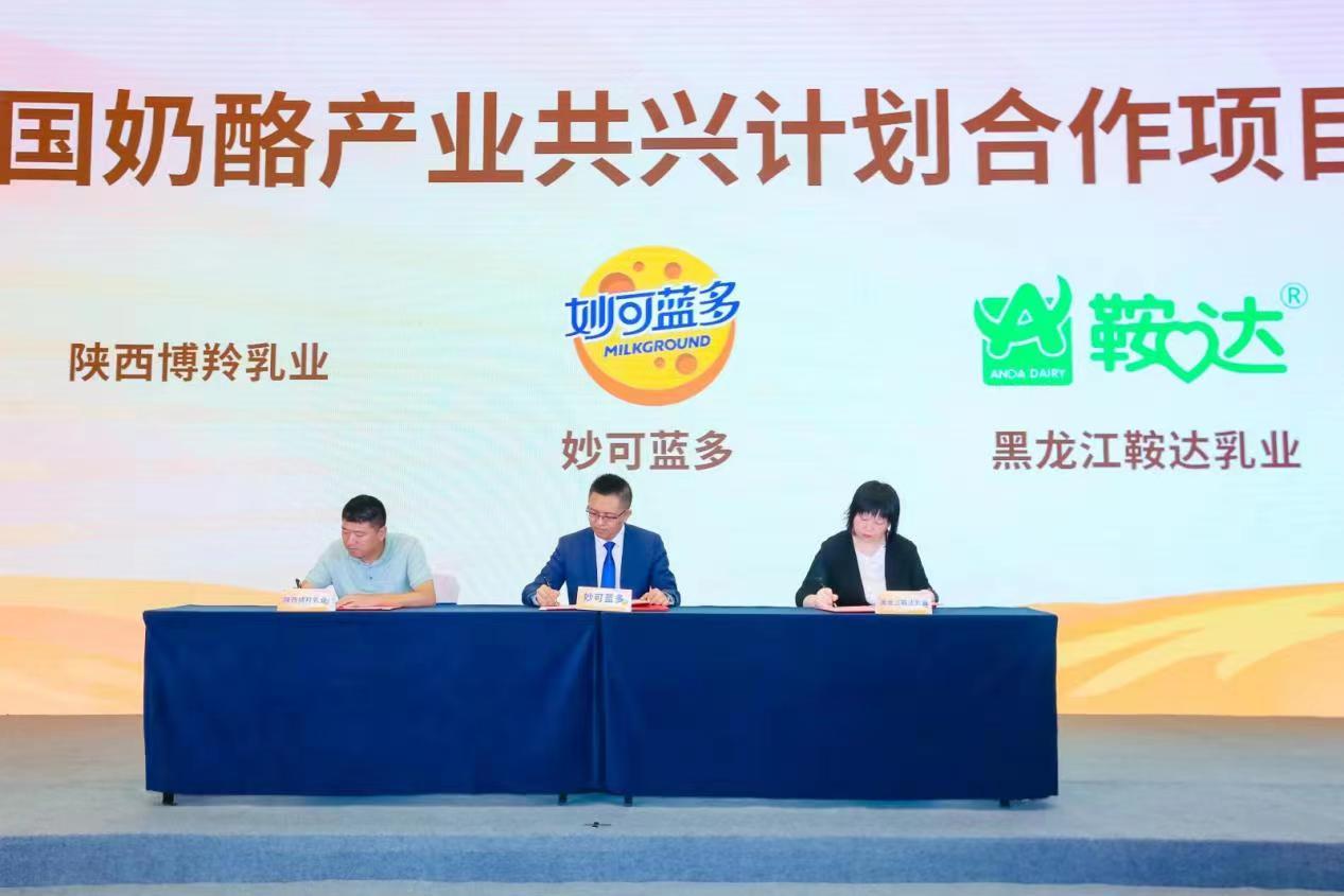 学校召开乡村振兴工作汇报会，共创乡村美好未来，推动乡村振兴战略行动部署到2025年