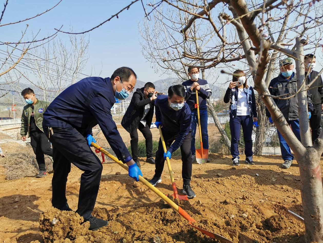 学院副院长陈宁春带队开展桃花林义务植树活动，共筑绿色校园新篇章