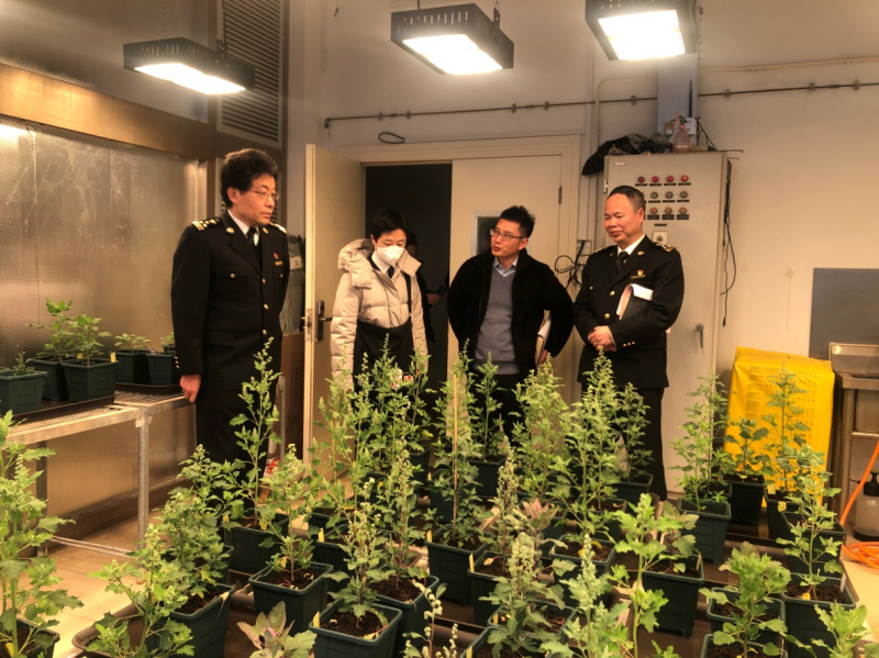 我院赴上海海关技术中心开展科研交流工作