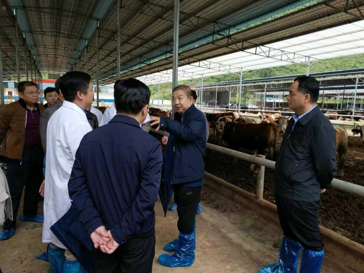 崇左幼儿师范高等专科学校到我院开展工作交流座谈会的报道
