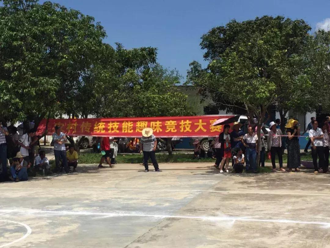 中国粮食研究培训中心调研组赴武鸣校区指导，共谋粮食产业新发展合作新篇章